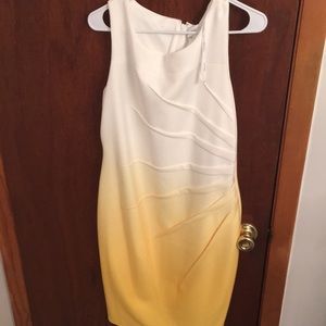 Calvin Klein ombré dress